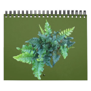 Calendário Plantas Nativas - Noroeste do Pacífico