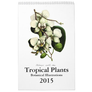 Calendário Plantas tropicais 2015