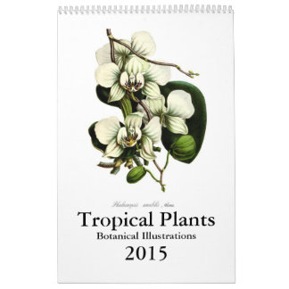 Calendário Plantas tropicais 2015