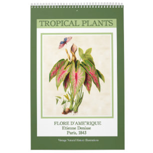 Calendário Plantas Tropicais Botânicas Vintage 2022