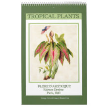 Plantas Tropicais Botânicas Vintage 2026
