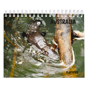 CALENDÁRIO PLATYPUS AUSTRÁLIA