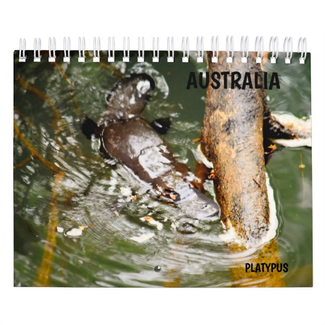 CALENDÁRIO PLATYPUS AUSTRÁLIA (Capa)