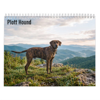 Calendário Plott Hound 2027 para parede