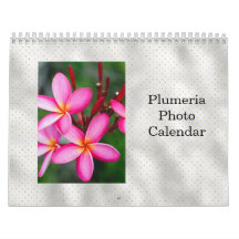 Plumeria Tropical Flowers Photo