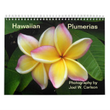 Plumerias havaianos