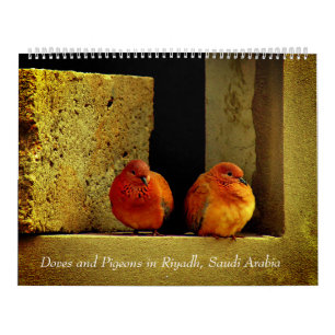 Calendário Pombas e pombos