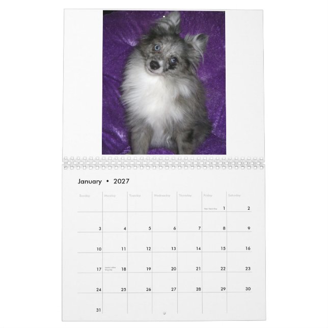 Calendário Pomeranians real (Jan 2027)