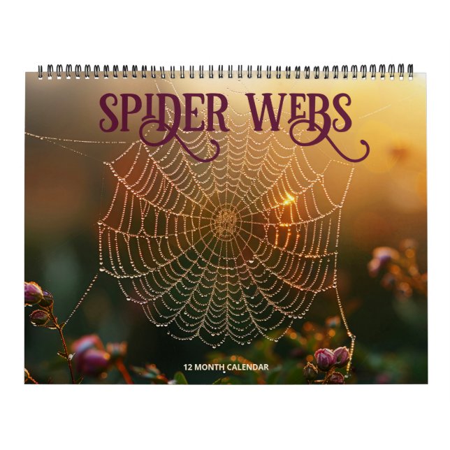 Calendário Pontas de aranha (Capa)