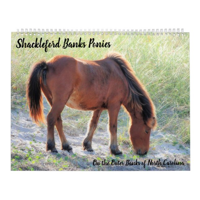 Calendário Pontes de bancos de Shackleford (Capa)