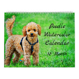 Calendário Poodle Dogs 12 Meses Poodle Poodles