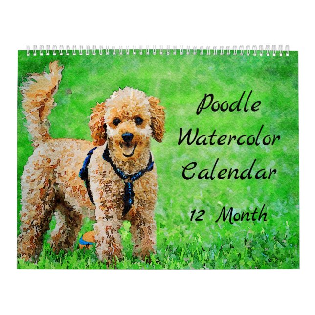 Calendário Poodle Dogs 12 Meses Poodle Poodles (Capa)