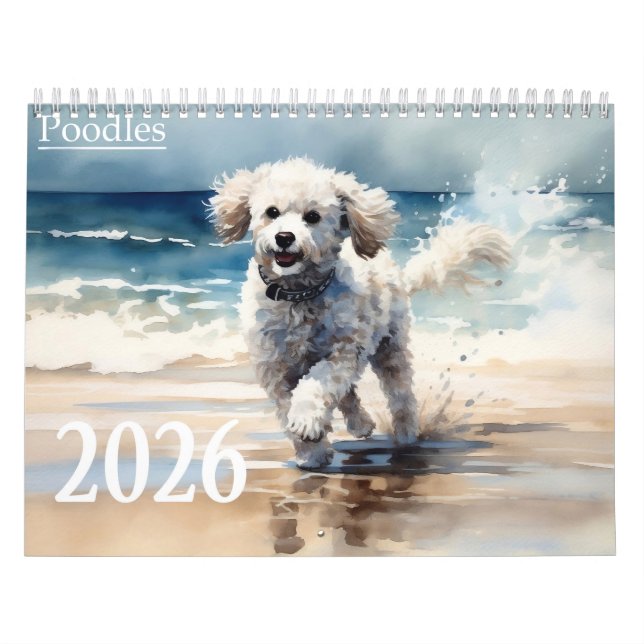 Calendário Poodles 2026 (Capa)