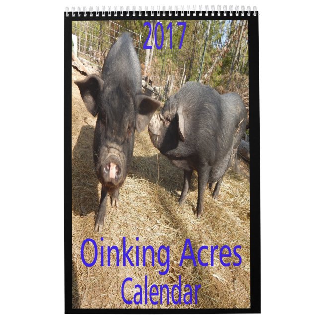 Calendário Porcos dos acres de Oinking mini (Capa)