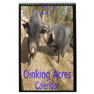 Calendário Porcos dos acres de Oinking mini