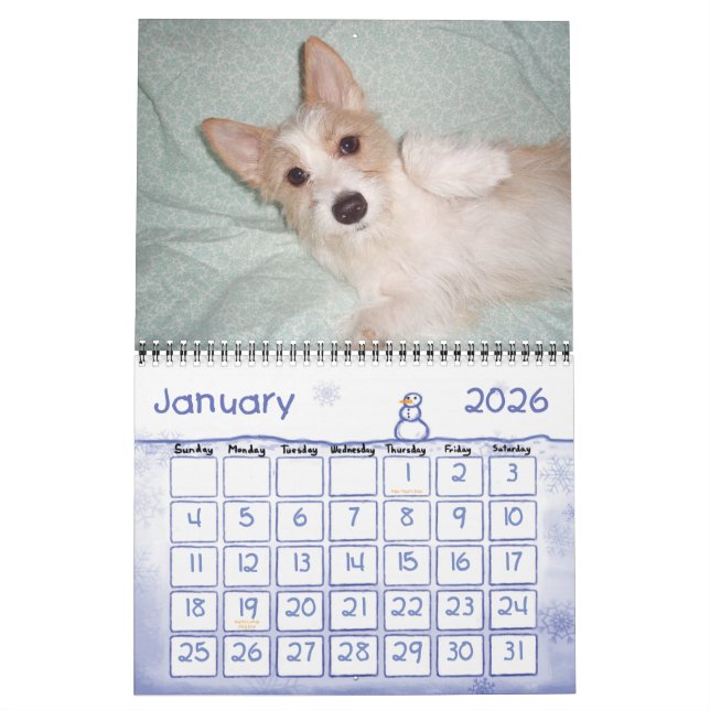 Calendário português do Podengo Pequeno (Jan 2026)