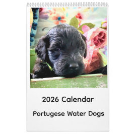 Calendário Portuguese Water Dog Calendar 2026