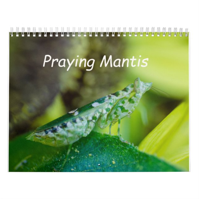 Calendário Praying Mantis Insects Calendar (Capa)