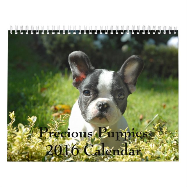 Calendário precioso dos filhotes de cachorro 2016 (Capa)