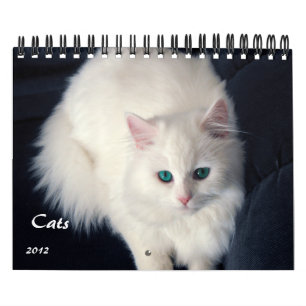 Calendário precioso dos gatos 2012