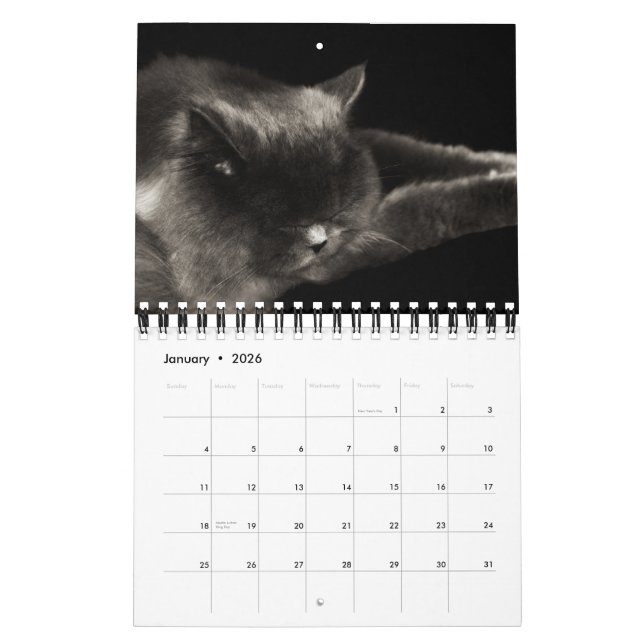 Calendário precioso dos gatos 2012 (Jan 2026)