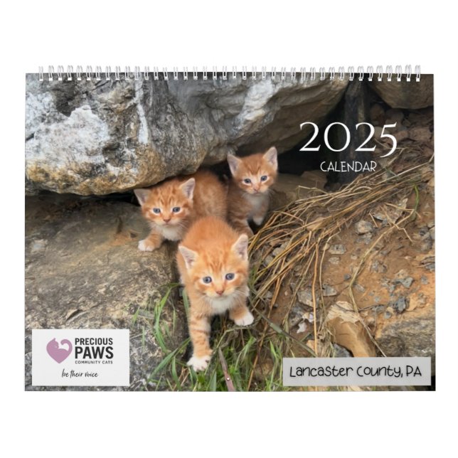 Calendário .Precioso Paws 2025. (Capa)