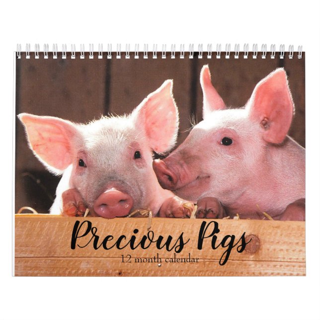 Calendário Precious Pigs 2027 (Capa)