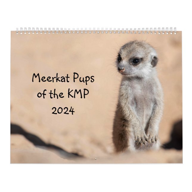 Calendário Preparações do KMP para 2024 (Capa)