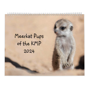 Calendário Preparações do KMP para 2024