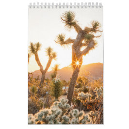 Calendário Presente de Foto no Deserto com Cactus
