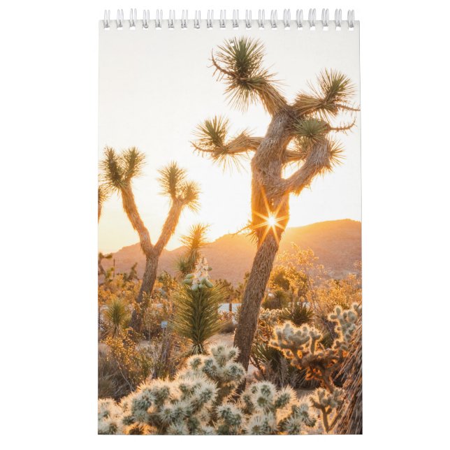 Calendário Presente de Foto no Deserto com Cactus (Capa)
