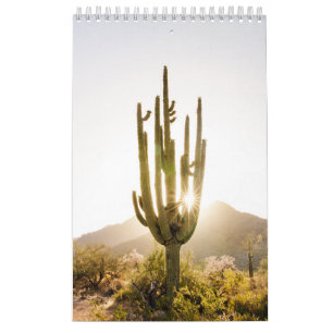 Calendário Presente de Foto no Deserto com Cactus