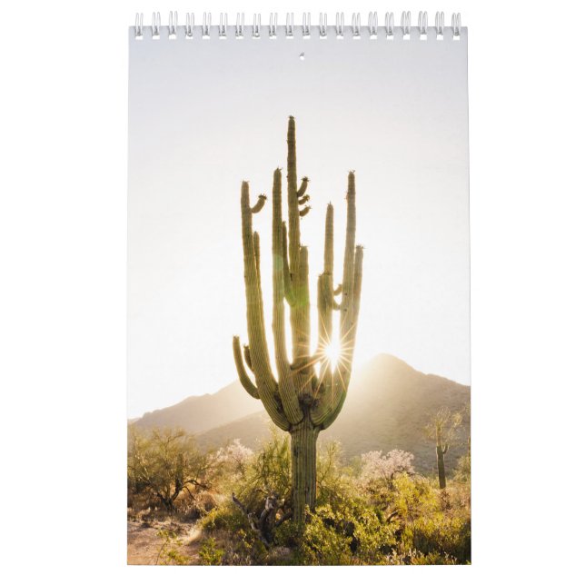 Calendário Presente de Foto no Deserto com Cactus (Capa)
