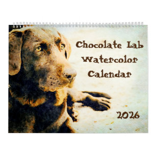 Calendário Presente de Lama de Cachorro Lab Chocolate 2026 pa