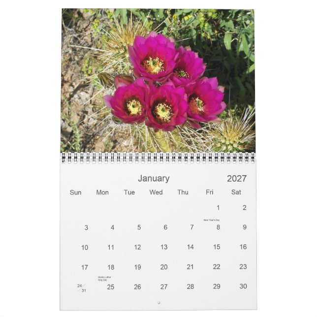 CALENDÁRIO PRIMAVERA NO DESERTO (Jan 2027)