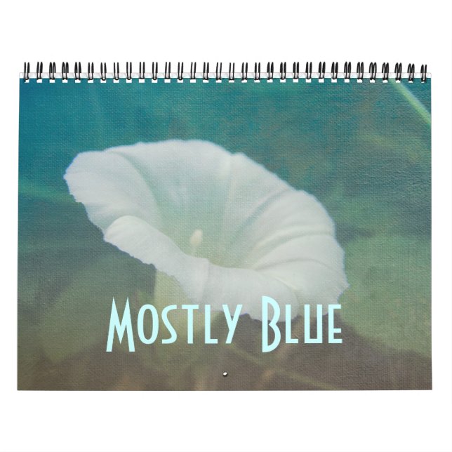 Calendário - Principalmente Azul (Capa)