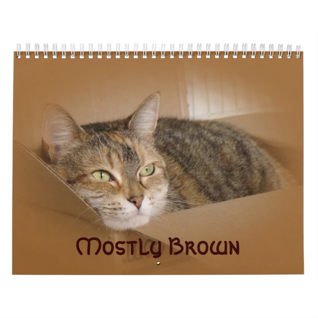 Calendário - Principalmente Castanho (Capa)