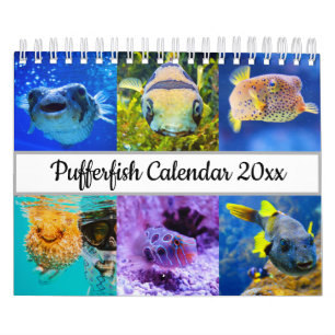 Calendário Pufferfish