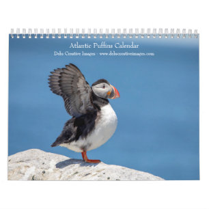 Calendário Puffins do Atlântico 2026
