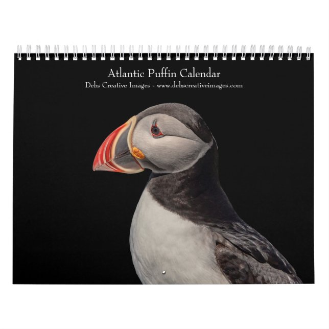 Calendário Puffins do Atlântico 2026 (Capa)