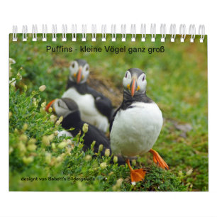 Calendário Puffins - pássaros pequenos inteiros grandes