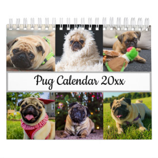 Calendário Pug
