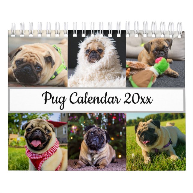 Calendário Pug (Capa)