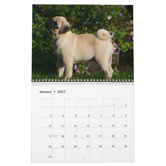 Calendário Pug (Jan 2027)