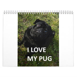 Calendário Pug