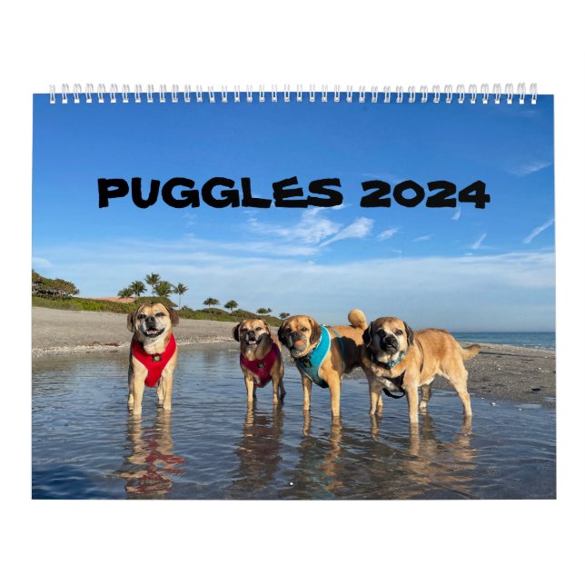 CALENDÁRIO PUGGLES 2024 (Capa)