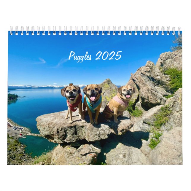 Calendário Puggles 2025 (Capa)