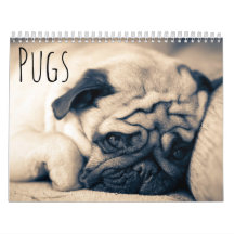 Pugs