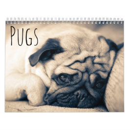 Calendário Pugs