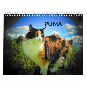 Calendário Puma, minha chita do supermodelo